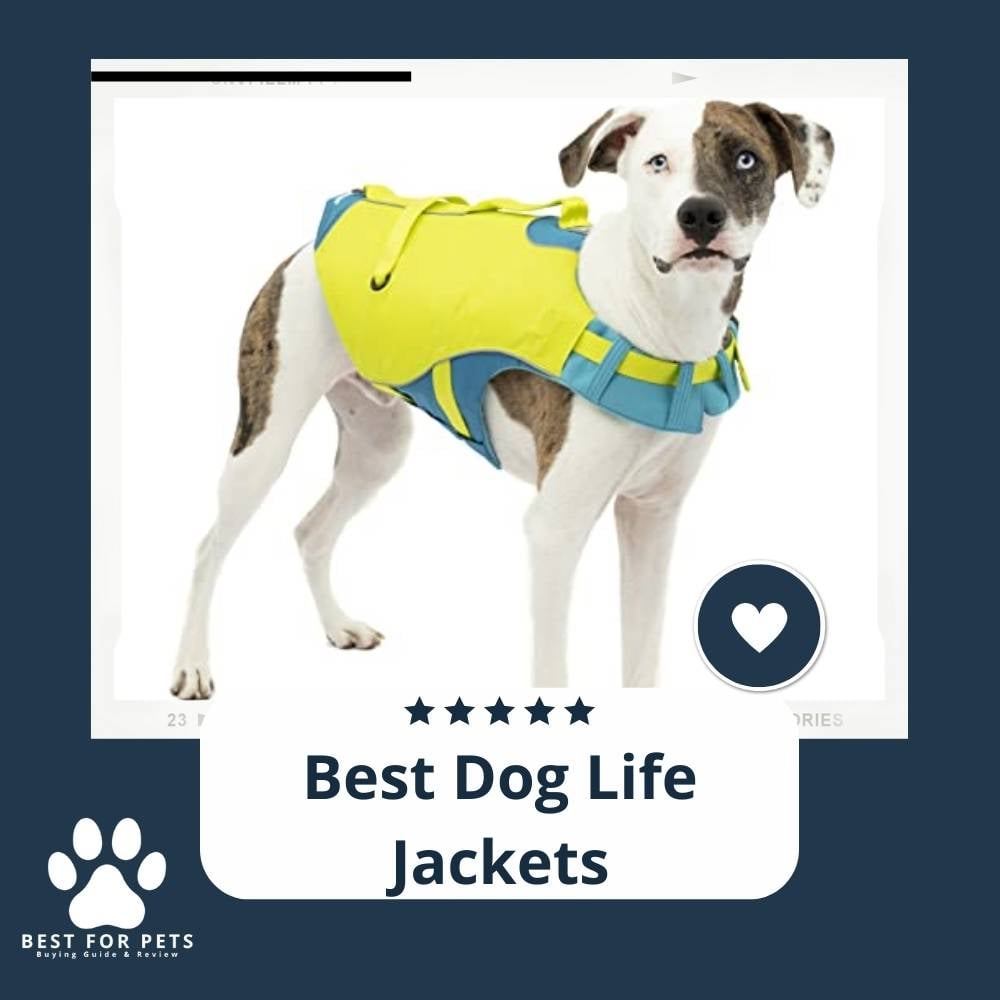 dCpDP6iz-best-dog-life-jackets