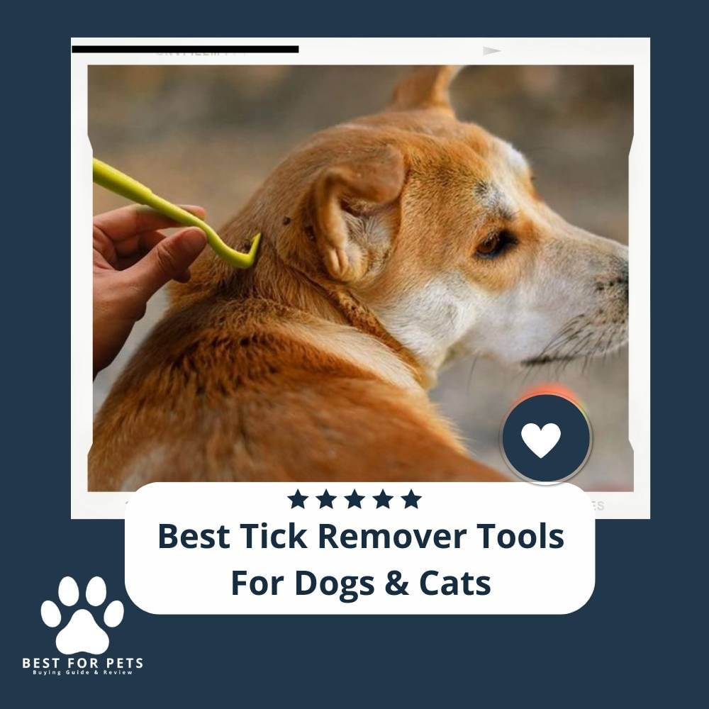 HIl09WH0-best-tick-remover-tools-for-dogs-and-cats