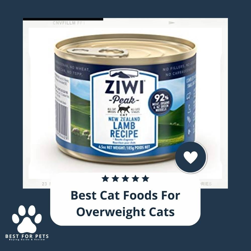 SZD-Cypk4-best-cat-foods-for-overweight-cats