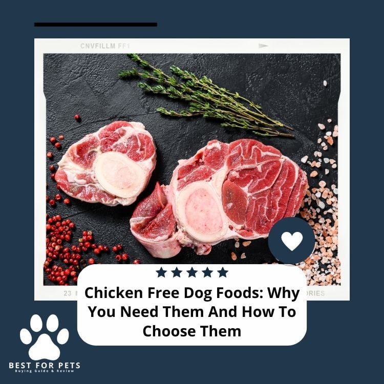 Chicken Free Dog Foods Why You Need Them And How To Choose Them