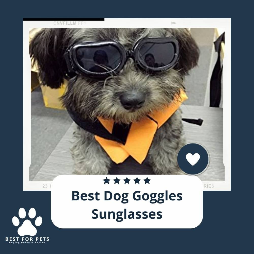 DJR24XElZ-best-dog-goggles-sunglasses