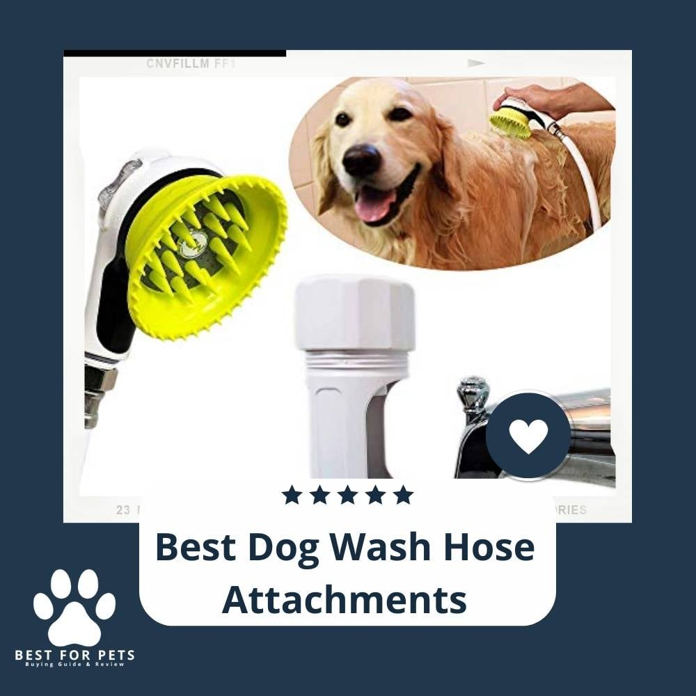 xsEfTKdHX-best-dog-wash-hose-attachments