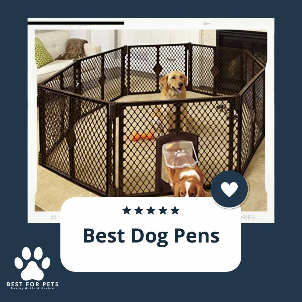 4RG3D75xR-best-dog-pens