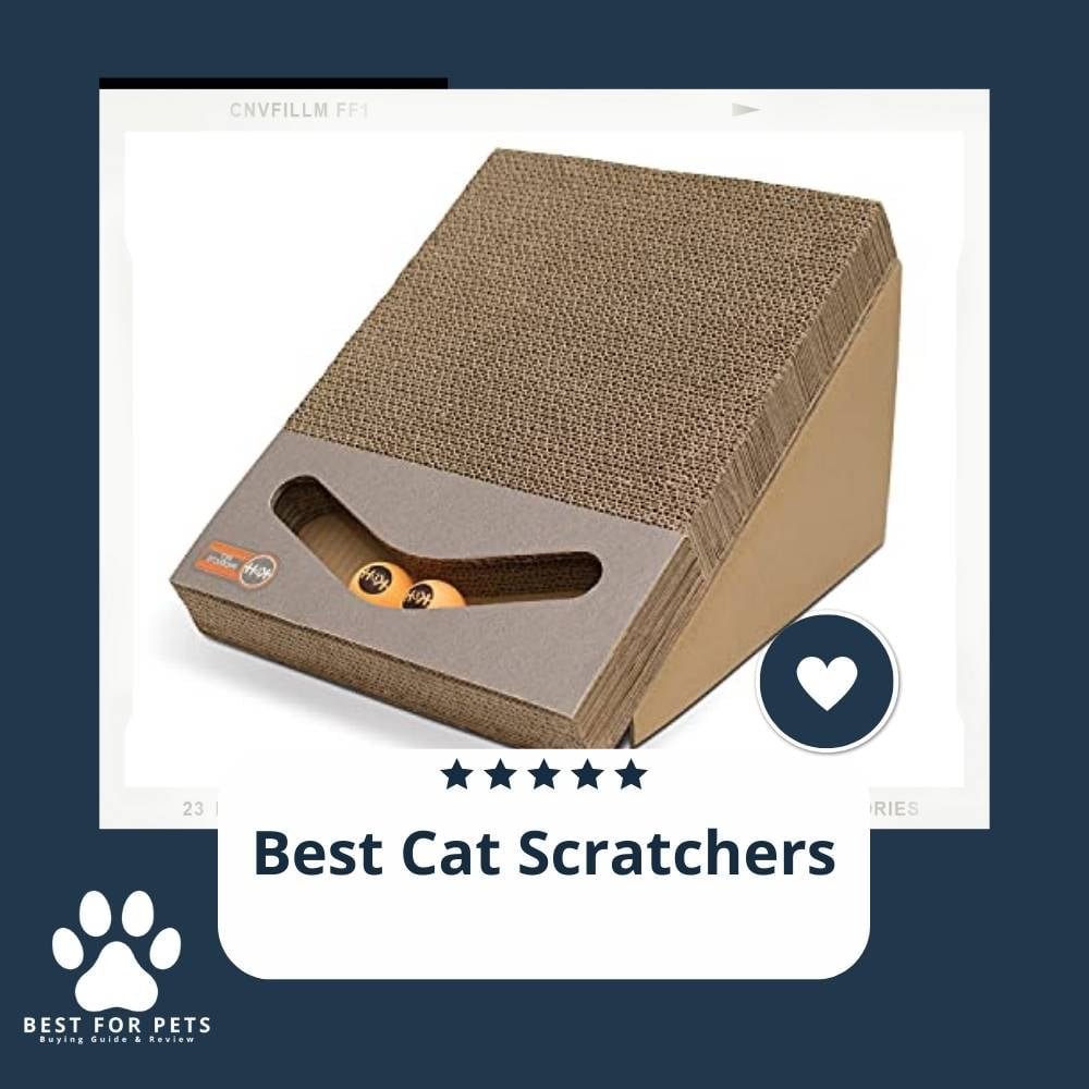 VYpwTzLs3-best-cat-scratchers