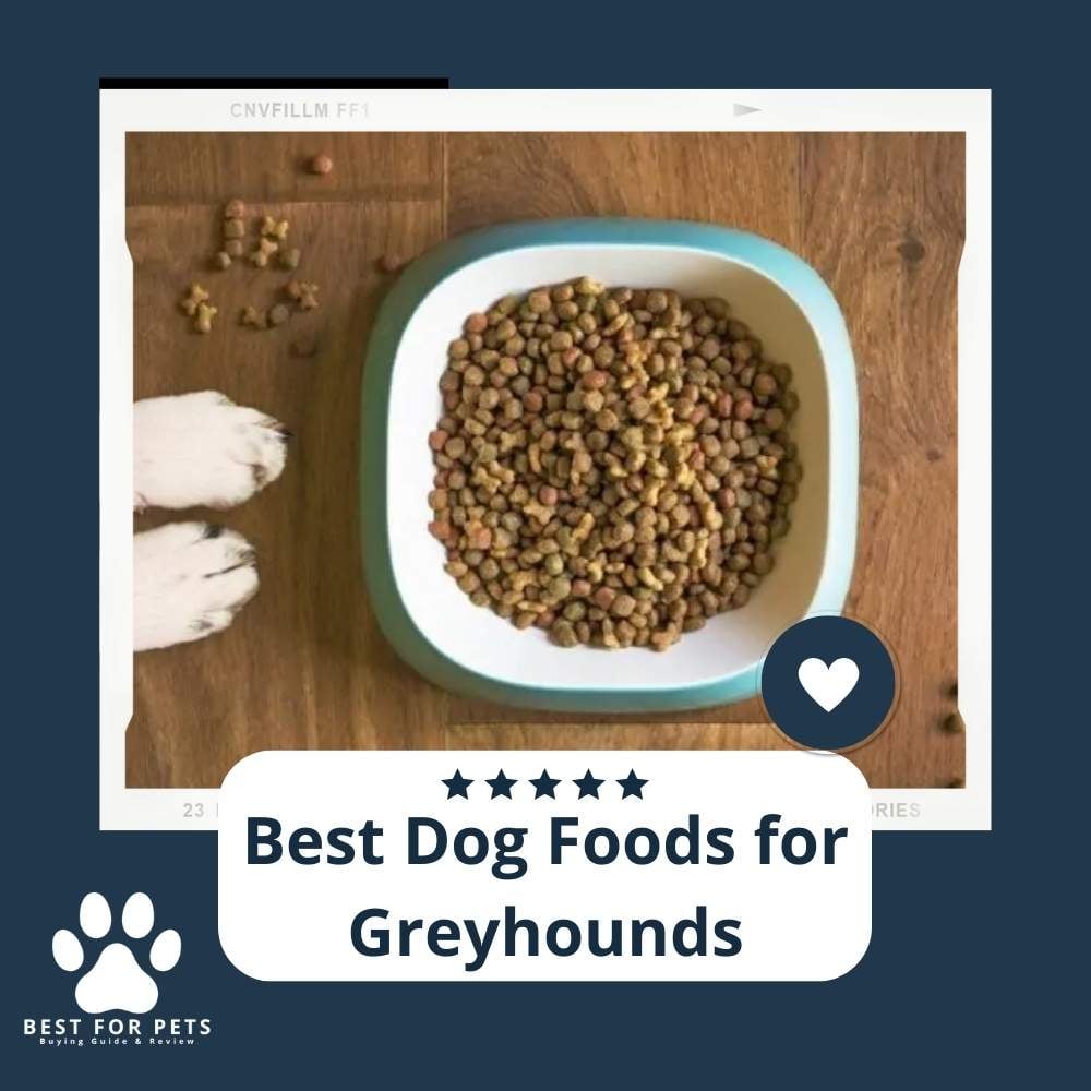 RjRHdk1Sg-best-dog-foods-for-greyhounds