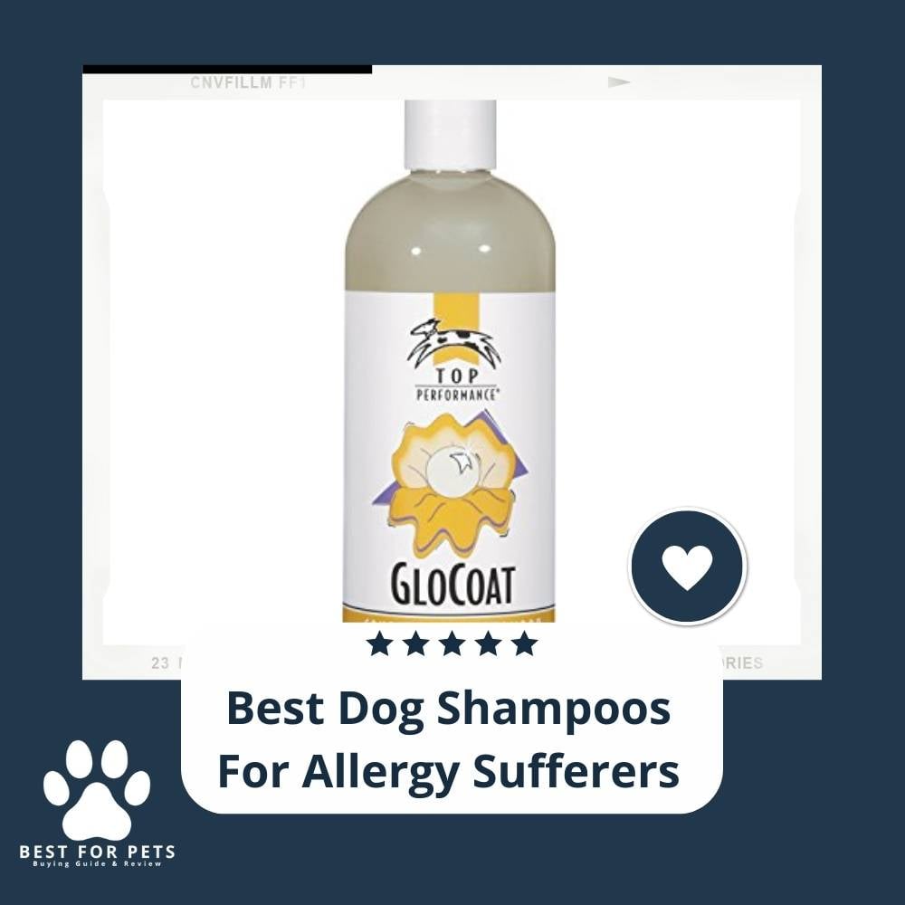 bLrhKdAWo-best-dog-shampoos-for-allergy-sufferers
