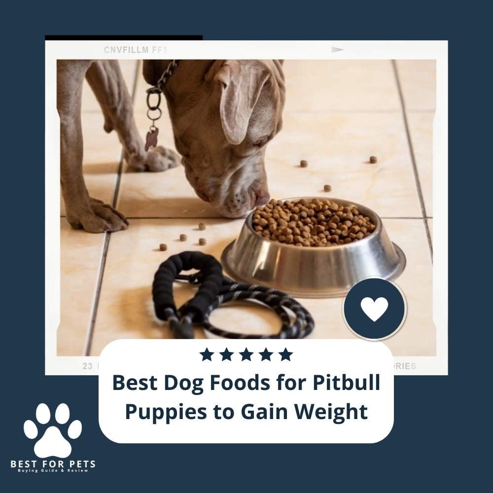 7M4RgrNWu-best-dog-foods-for-pitbull-puppies-to-gain-weight