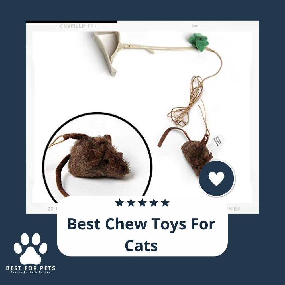 Owm-OOnsY-best-chew-toys-for-cats