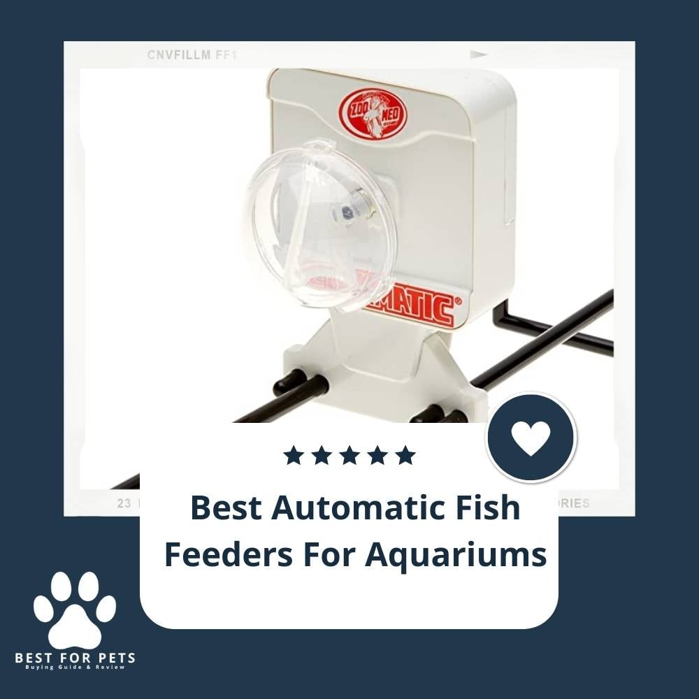 7LN-4T6Jo-best-automatic-fish-feeders-for-aquariums