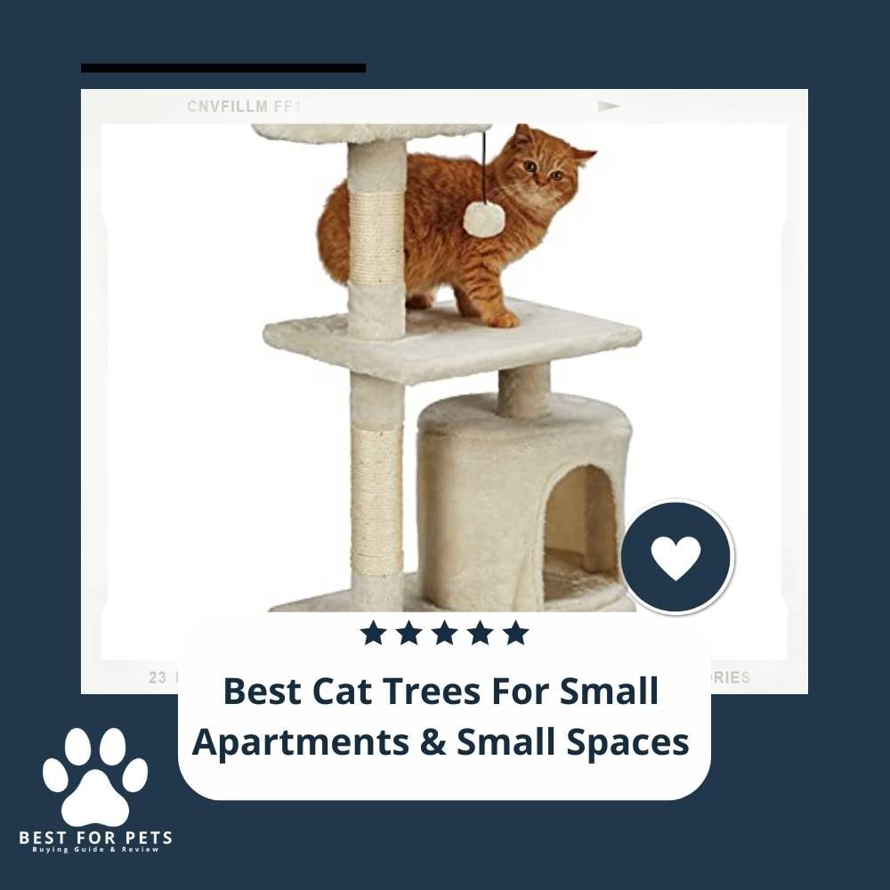 VMhjV16dP-best-cat-trees-for-small-apartments-and-small-spaces