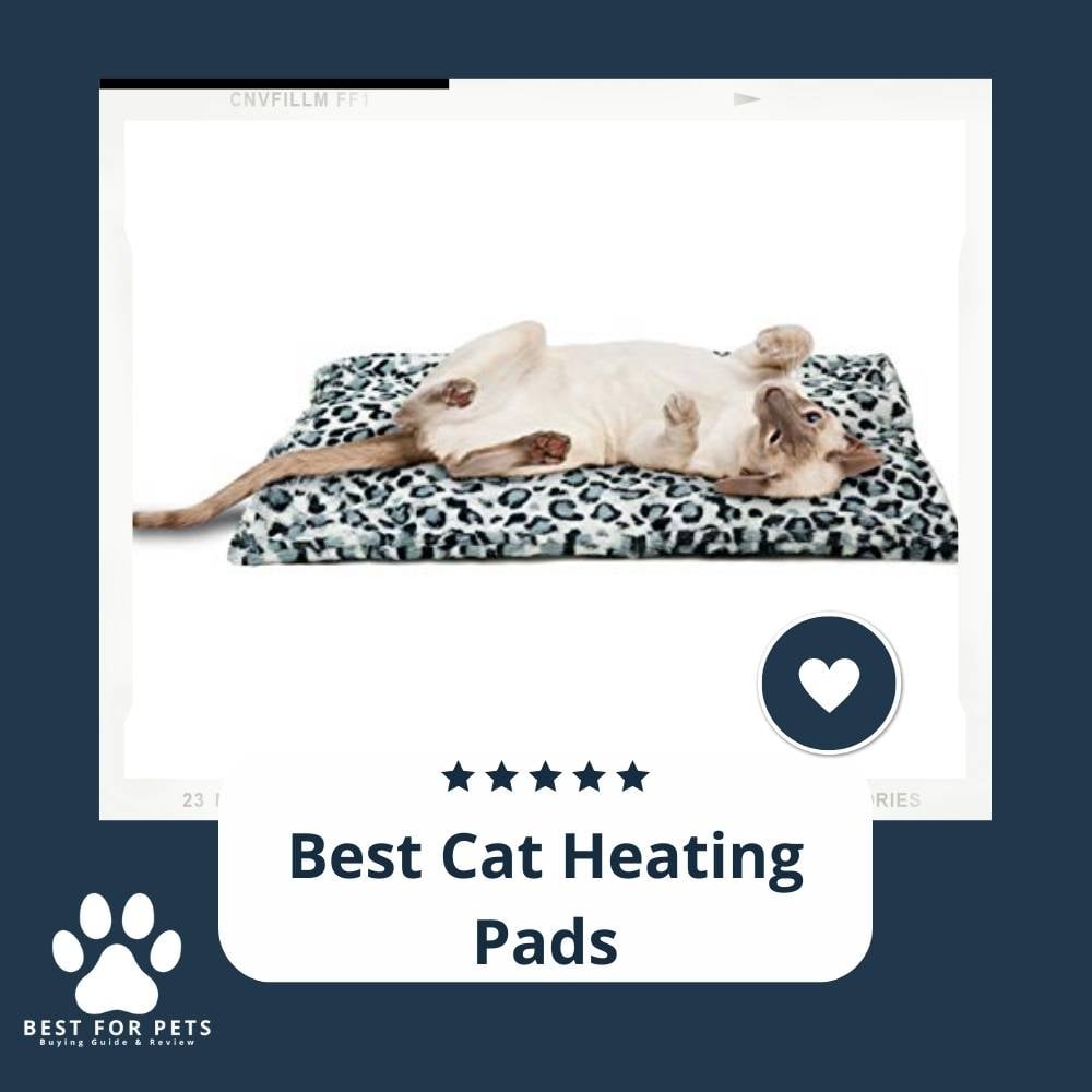 CnuYdYXul-best-cat-heating-pads