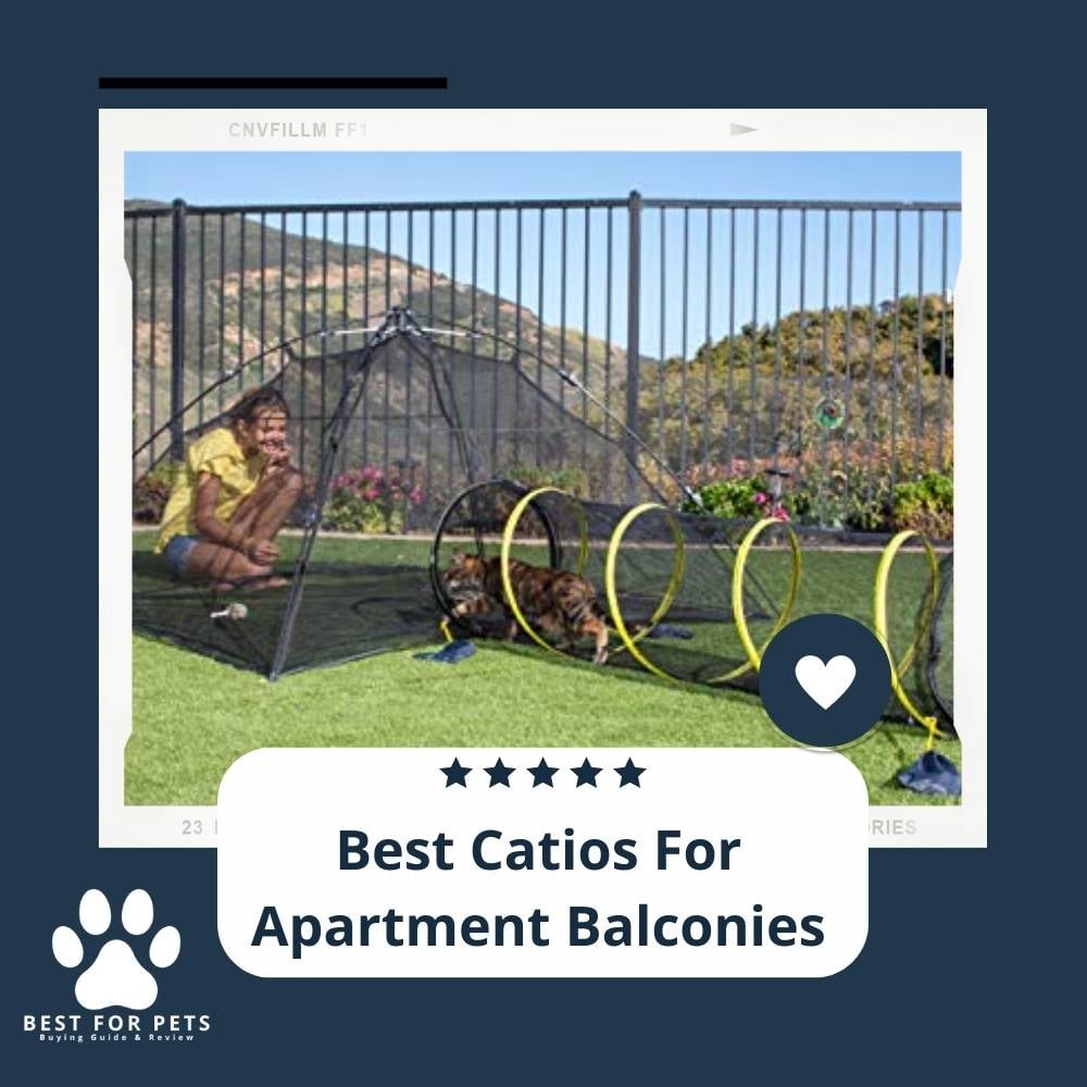 xUZuMW1yz-best-catios-for-apartment-balconies