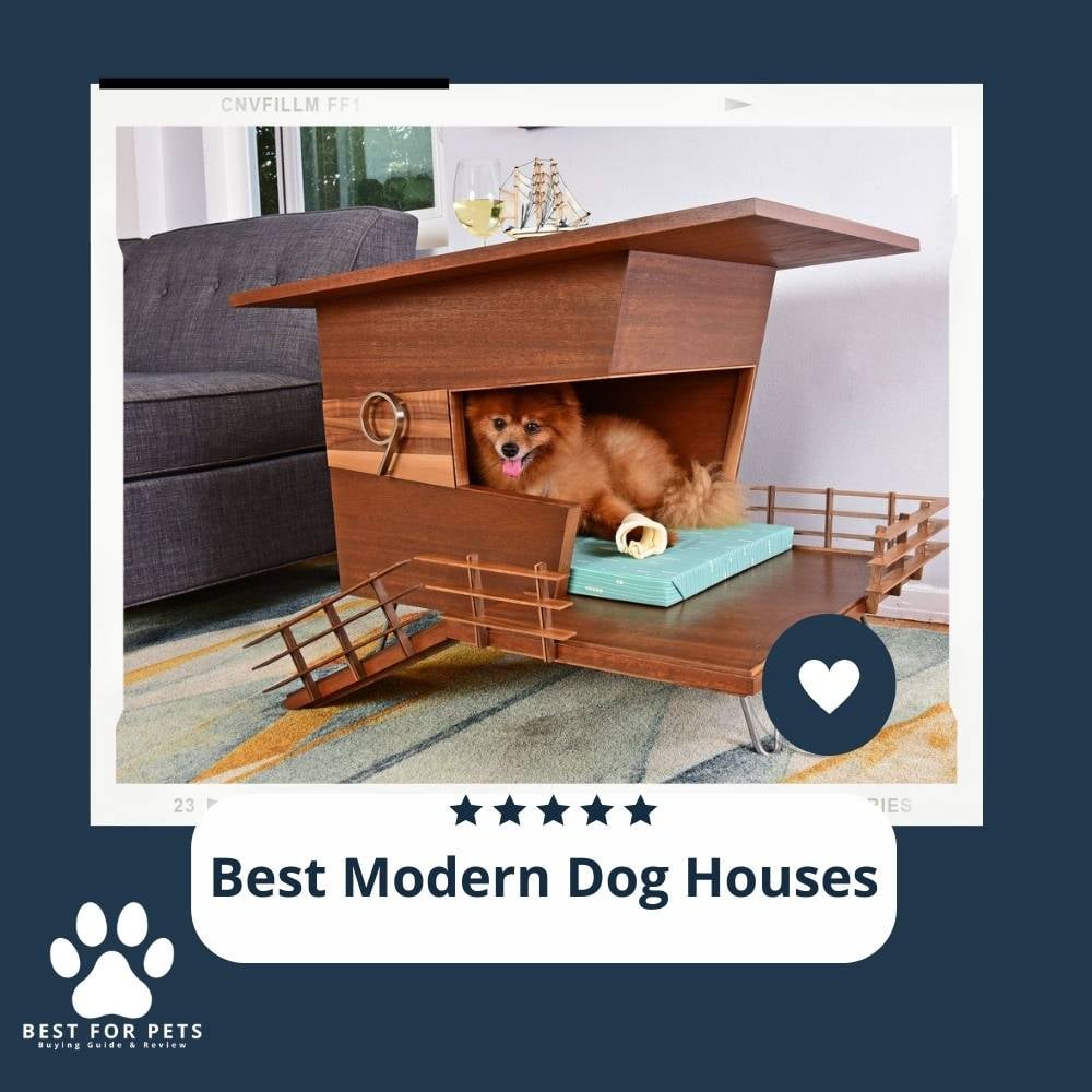 iCv3P4S6S-best-modern-dog-houses