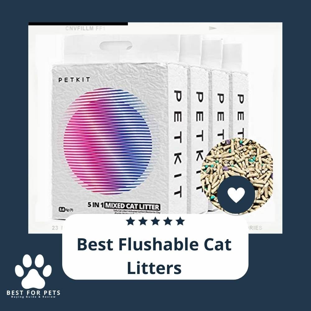 WV3r6D4E1-best-flushable-cat-litters