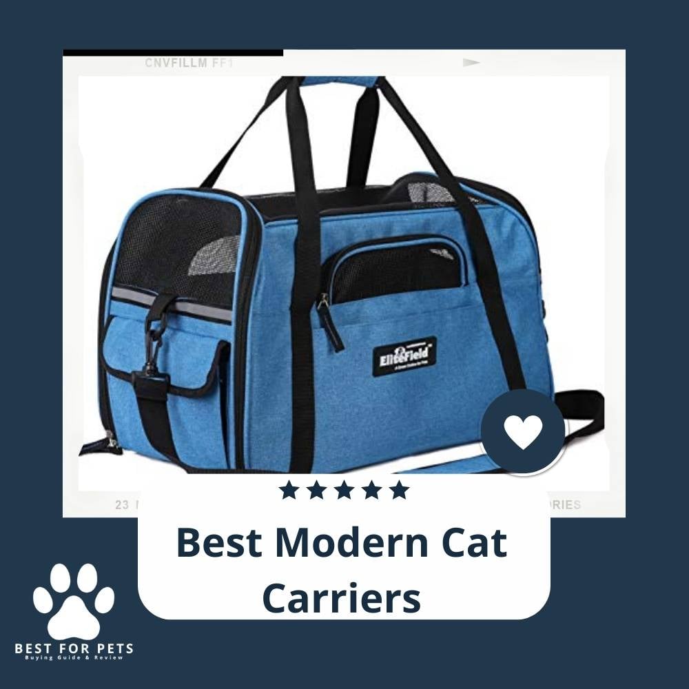 k9xfXXQ8u-best-modern-cat-carriers
