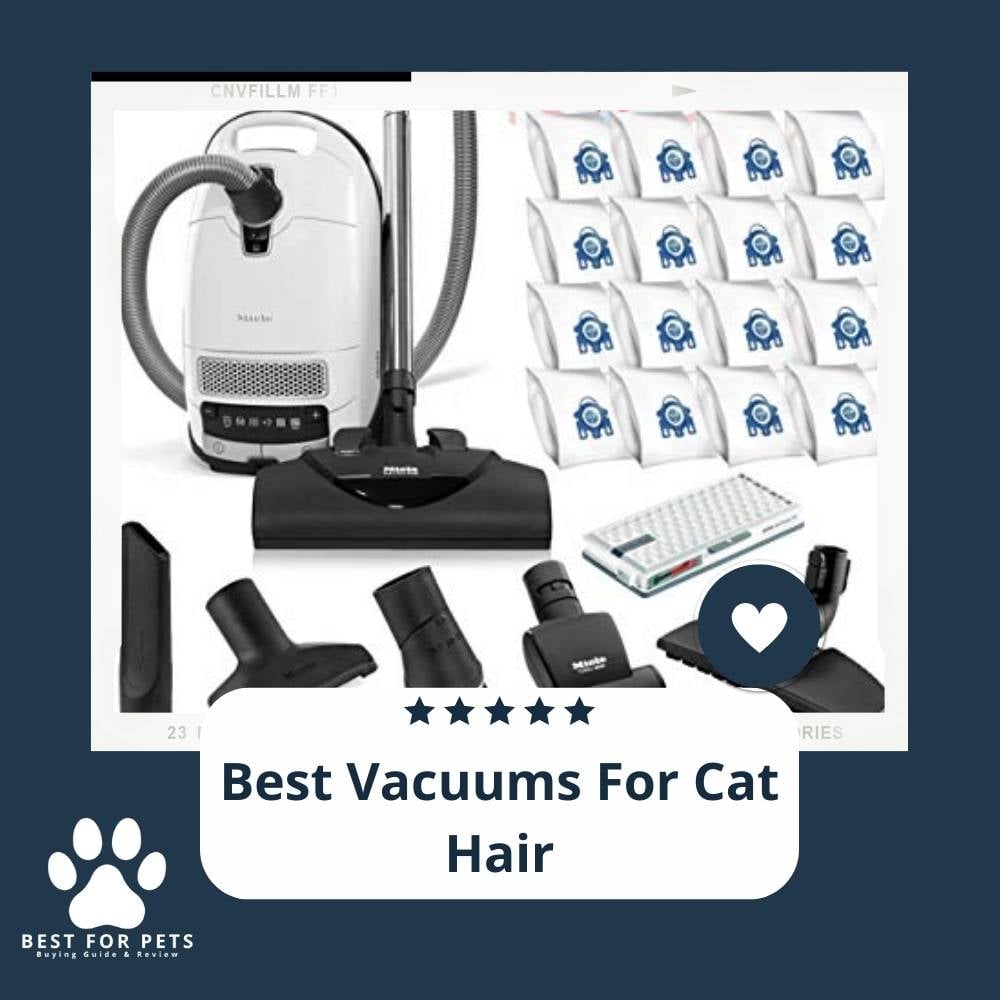 XhZnask_r-best-vacuums-for-cat-hair