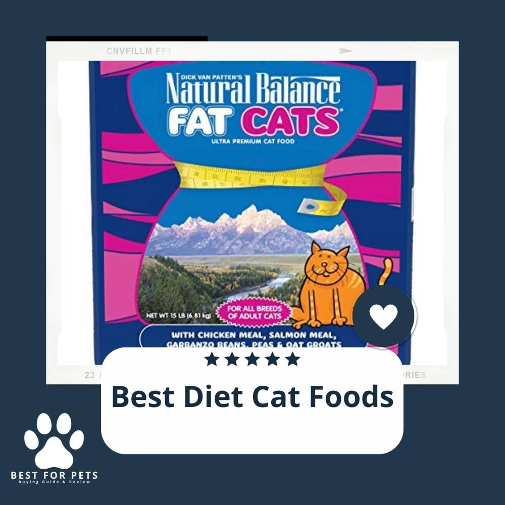 lh7lhTGy_-best-diet-cat-foods