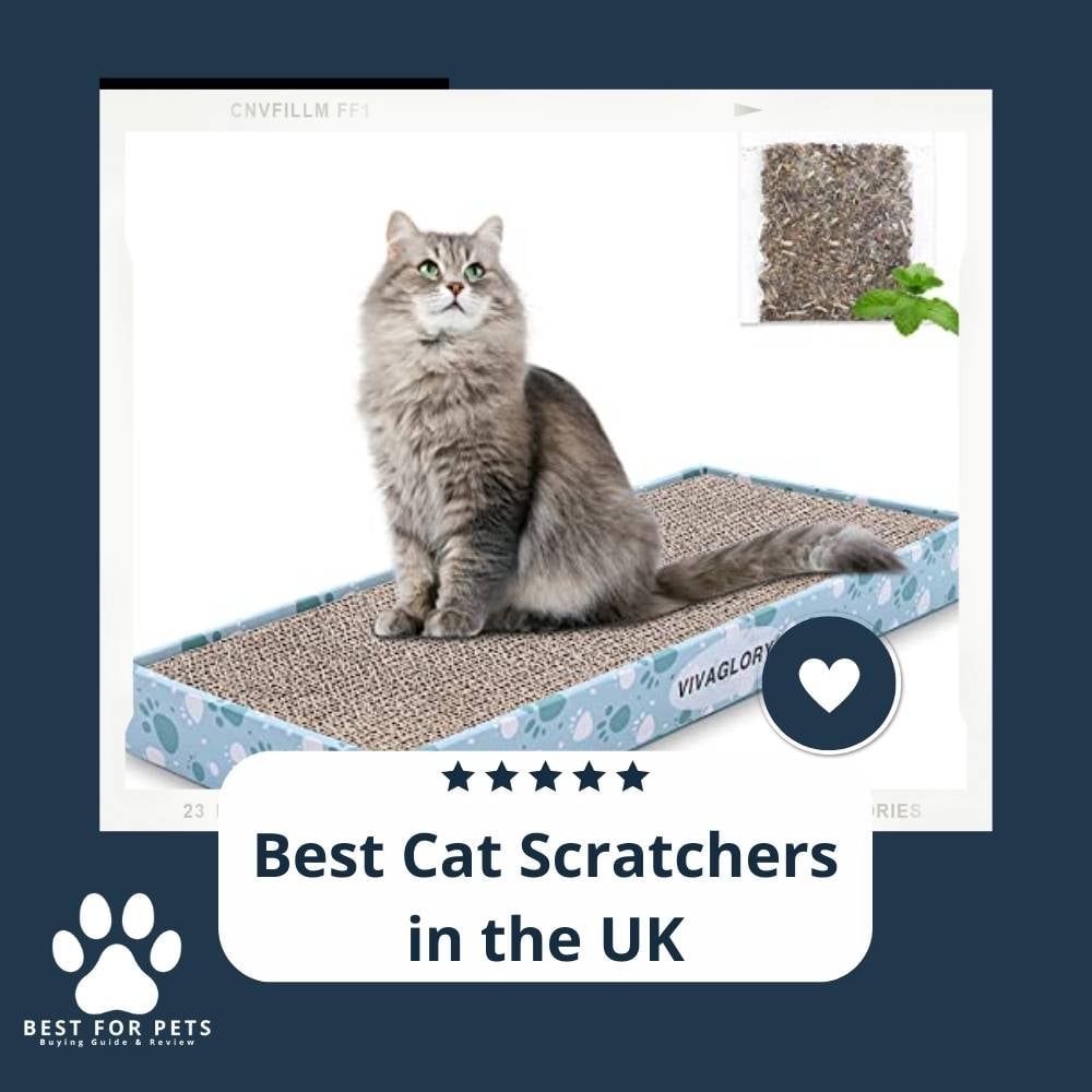 isEc5NIZw-best-cat-scratchers-in-the-uk