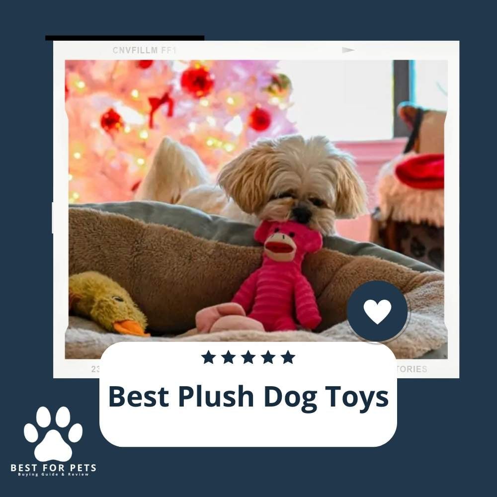 kC5WMiXAc-best-plush-dog-toys