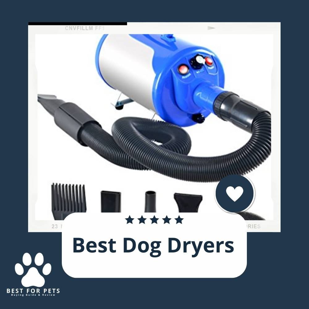 k5Z1f_Ojm-best-dog-dryers