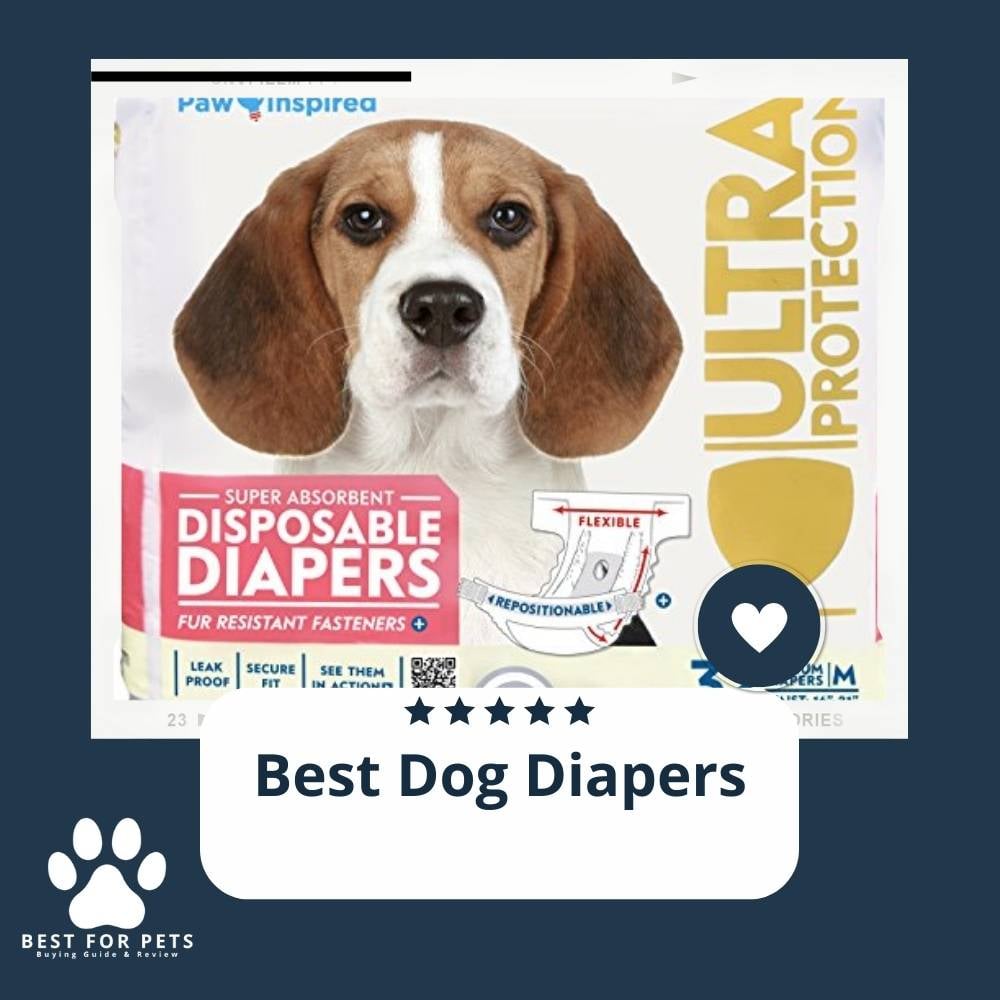 6YhmNNoTm-best-dog-diapers