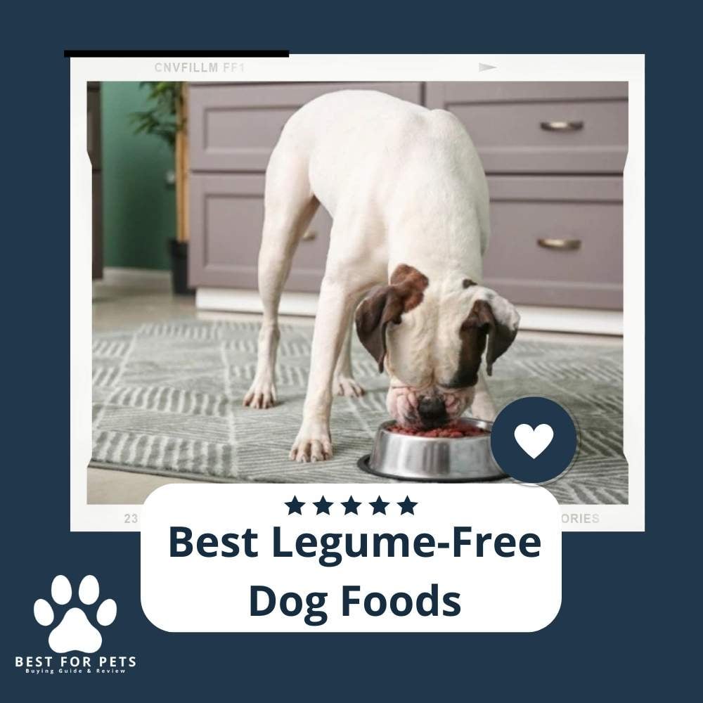 GFDsFZbUh-best-legume-free-dog-foods