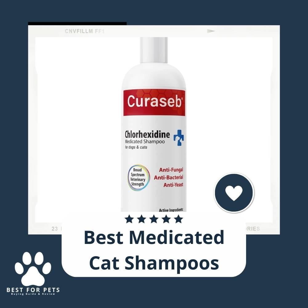qbz21VZb2-best-medicated-cat-shampoos