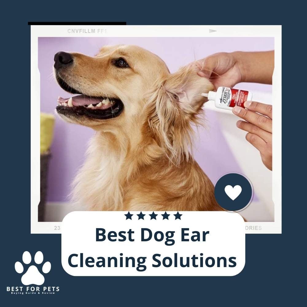 MwJ3v-P3k-best-dog-ear-cleaning-solutions