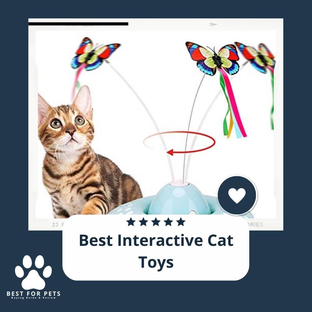 mW6bkqHKf-best-interactive-cat-toys