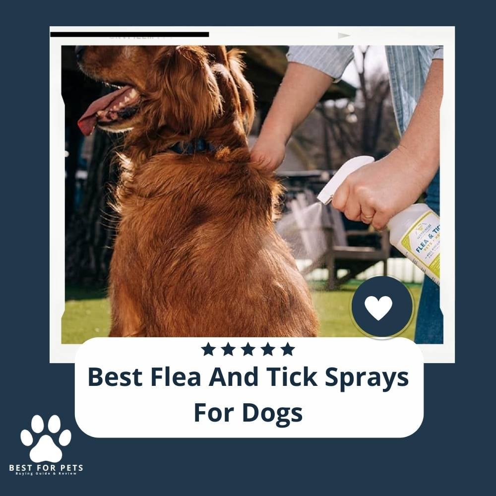 NLHi4Xav9-best-flea-and-tick-sprays-for-dogs