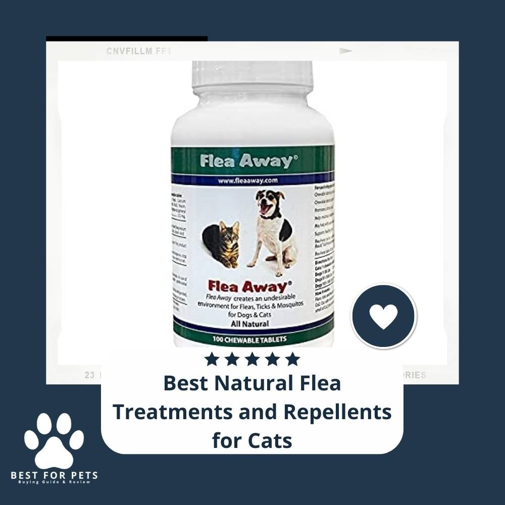 KMQrYJ8rE-best-natural-flea-treatments-and-repellents-for-cats