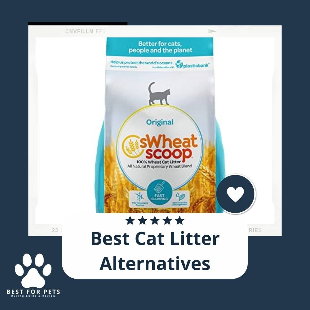 Lt9b25O_D-best-cat-litter-alternatives