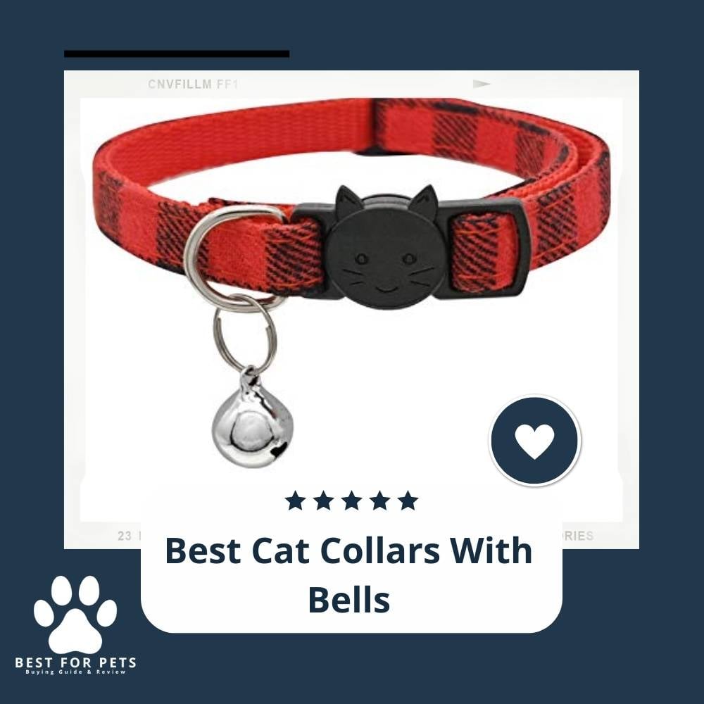 XVO_-YdBe-best-cat-collars-with-bells
