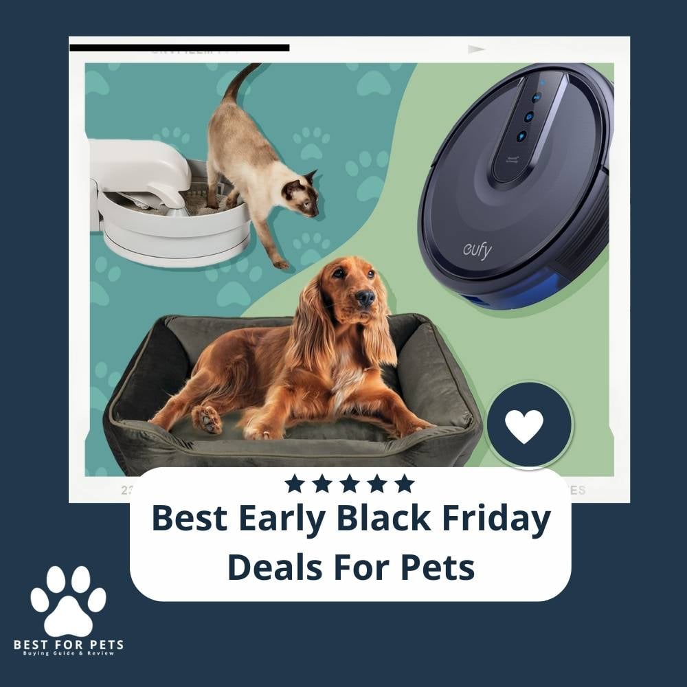 dd19gO7rb-best-early-black-friday-deals-for-pets