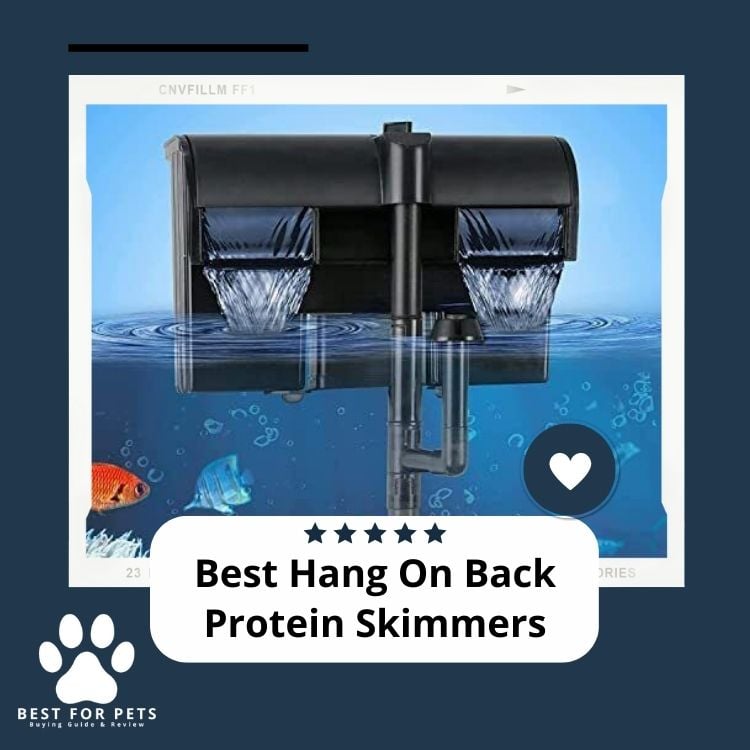 Best Hang On Back Protein Skimmers