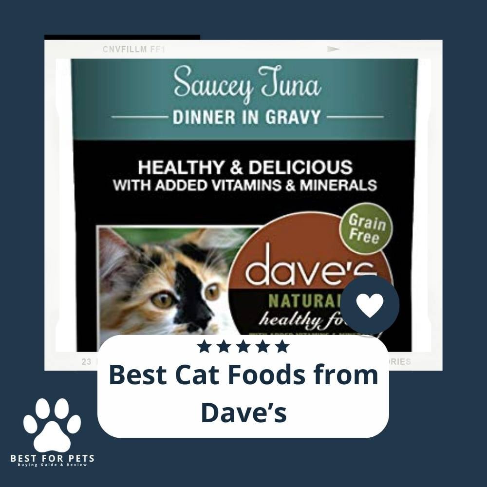 YkqLjQlb-best-cat-foods-from-daves