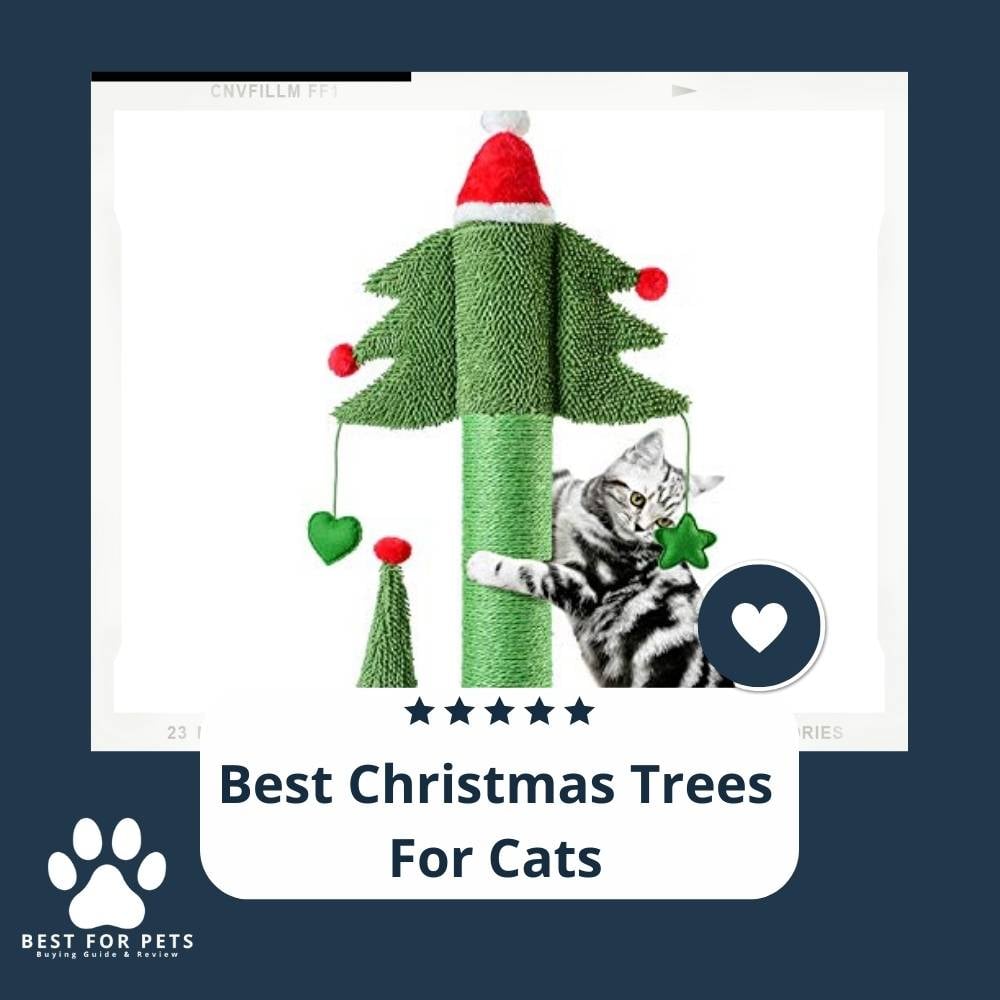 58m4SNU6w-best-christmas-trees-for-cats