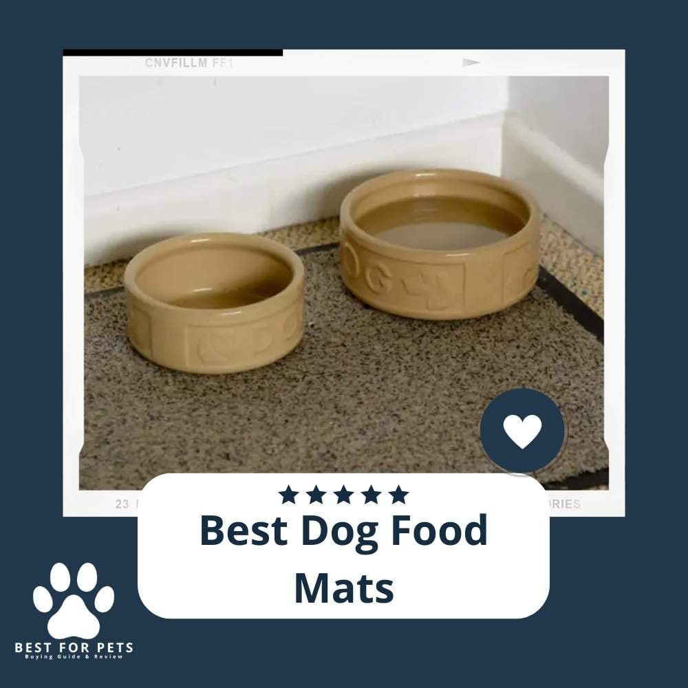 6ApynhRF6-best-dog-food-mats