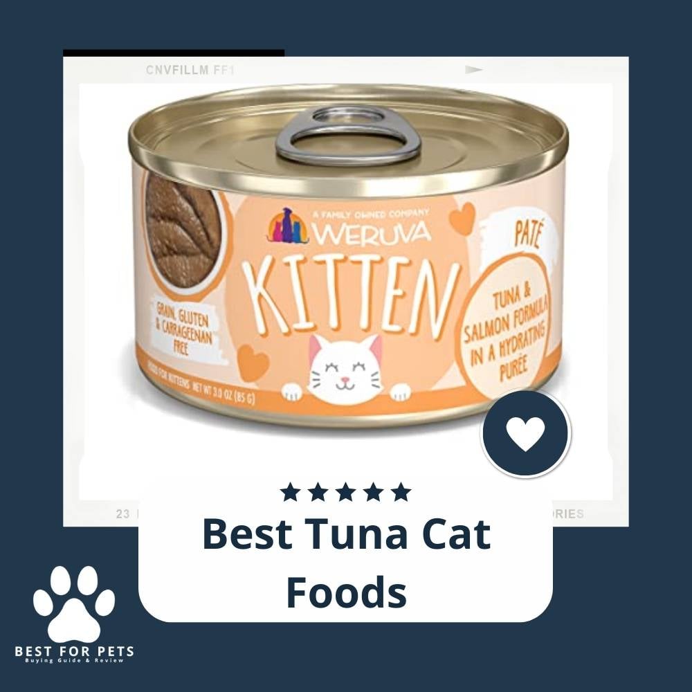 DeEuMtUz7-best-tuna-cat-foods