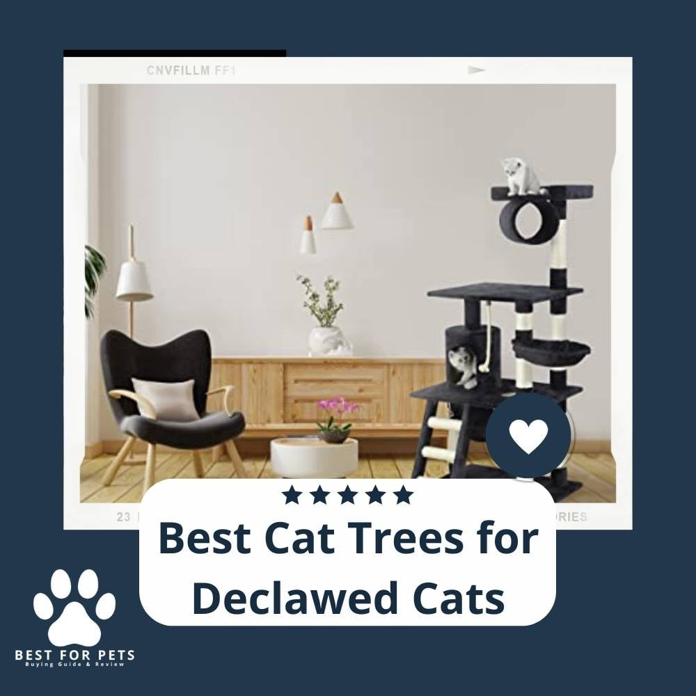 KtaOeyAhF-best-cat-trees-for-declawed-cats