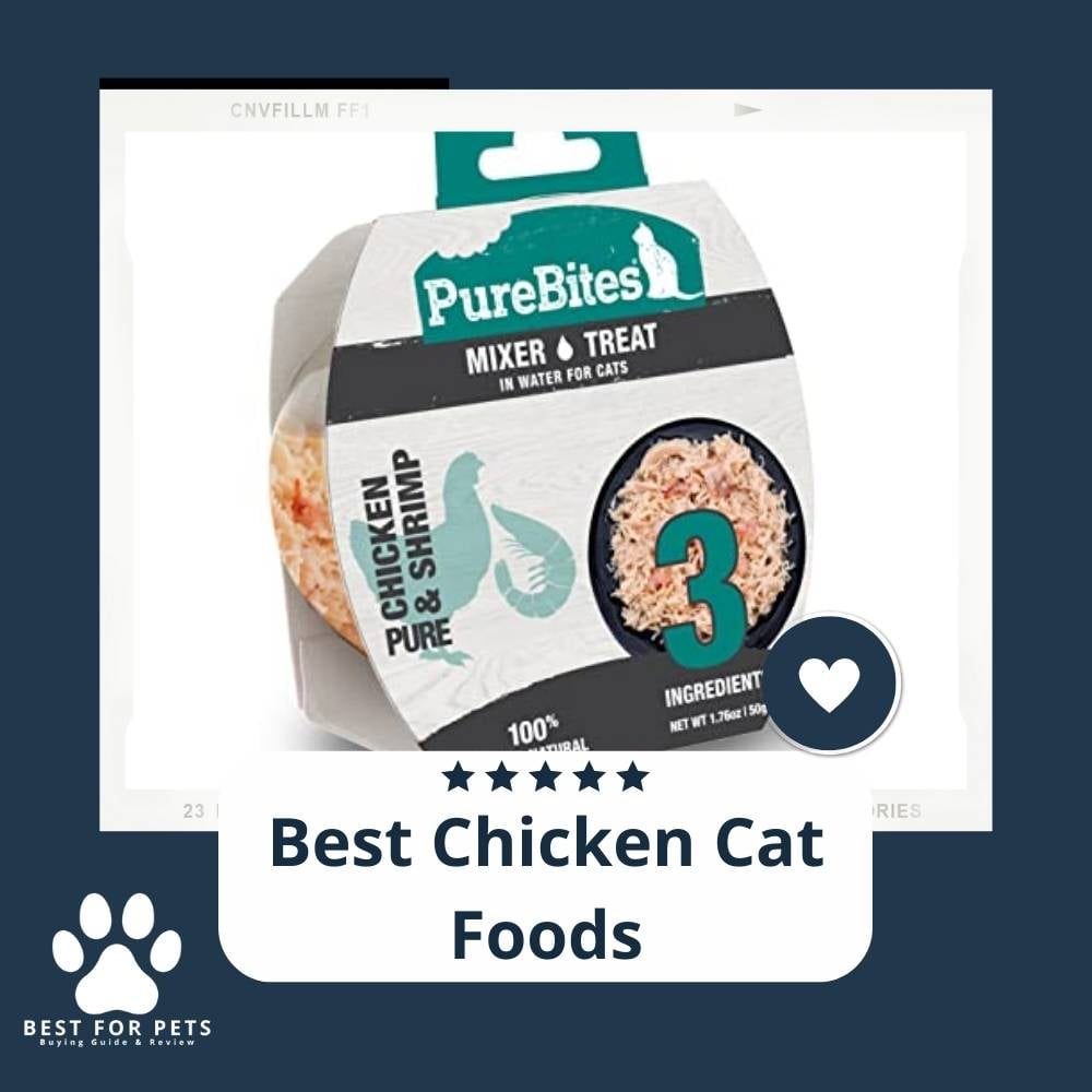 RaspGaMxa-best-chicken-cat-foods