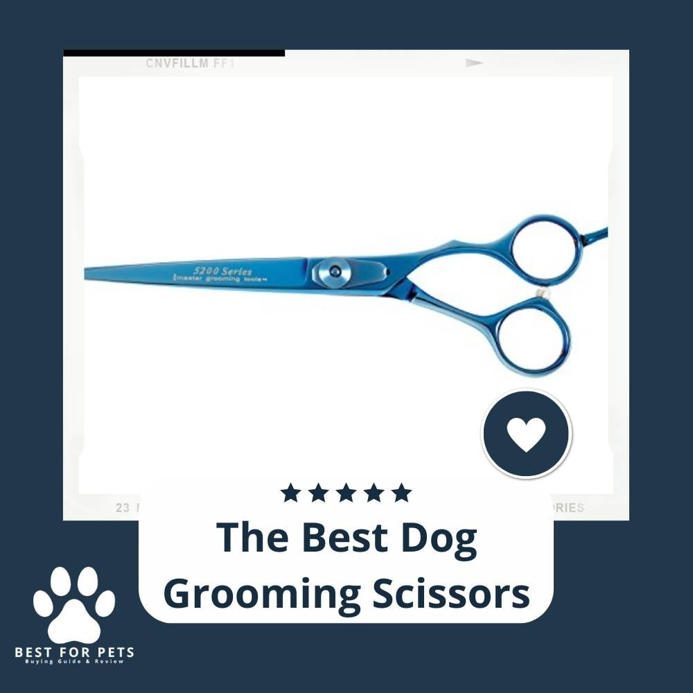 p1gQk4Cn5-best-dog-grooming-scissors