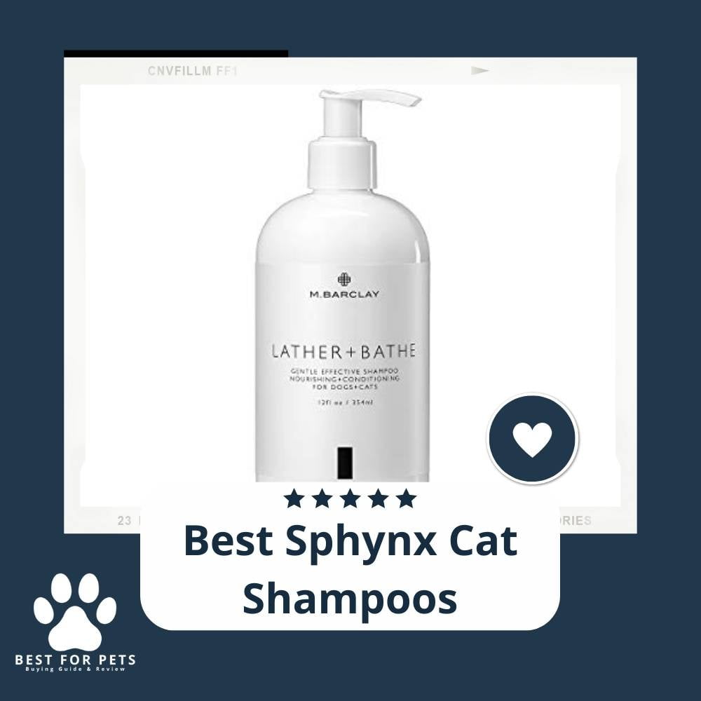 j0JMP1NHn-best-sphynx-cat-shampoos