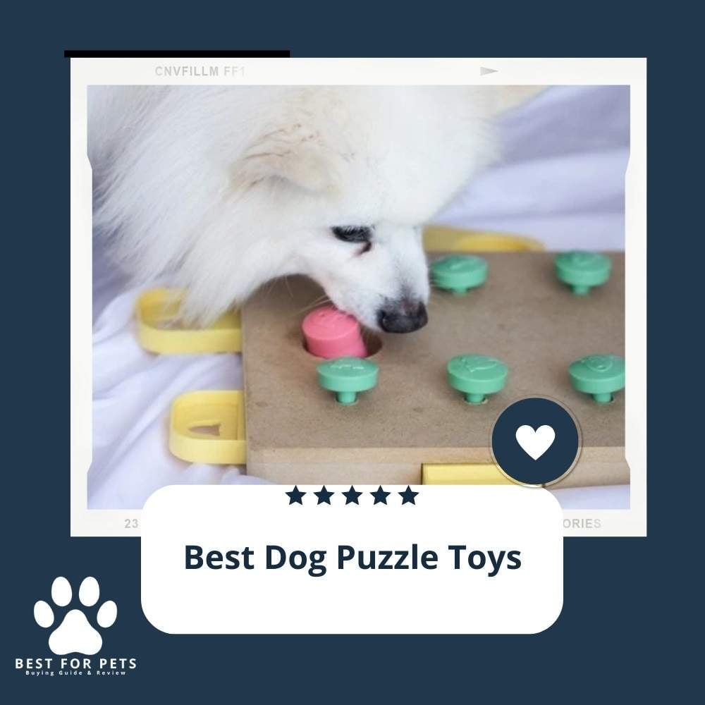 r5oU0ou77-best-dog-puzzle-toys