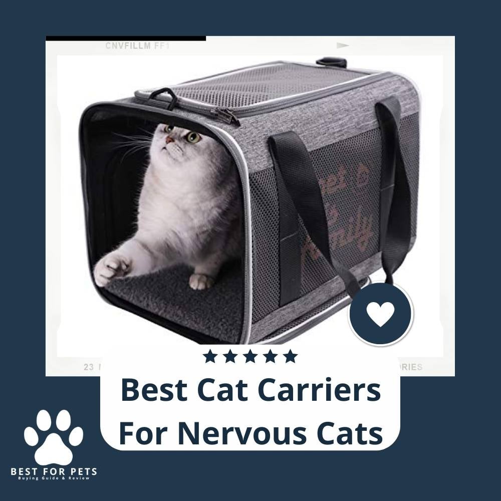 fKkHAydMU-best-cat-carriers-for-nervous-cats
