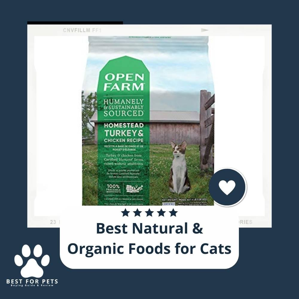 ilWucILCl-best-natural-and-organic-foods-for-cats