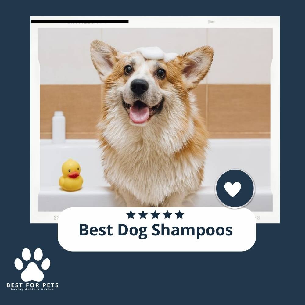cFQeImR-5-best-dog-shampoos