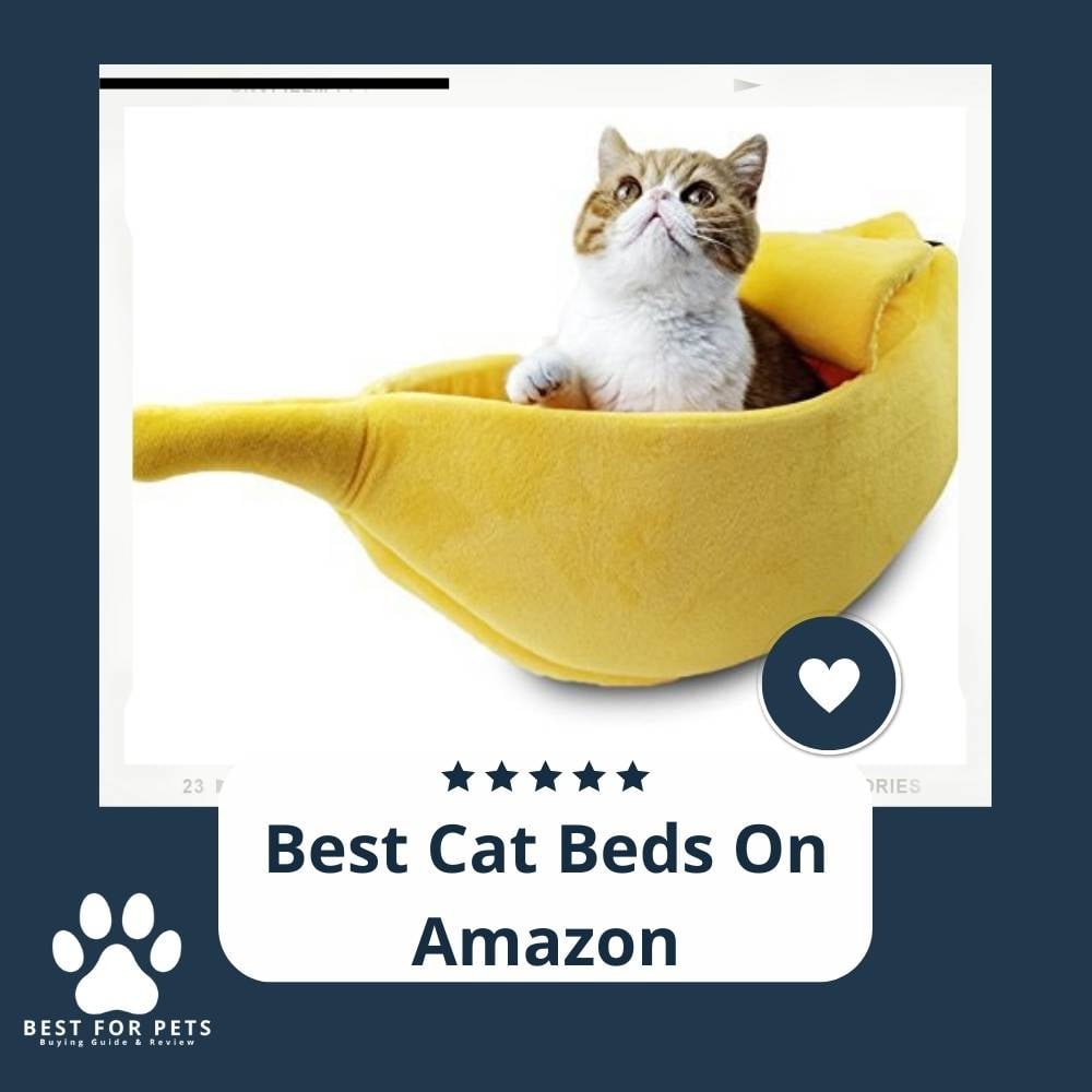 aafTHmaVo-best-cat-beds-on-amazon