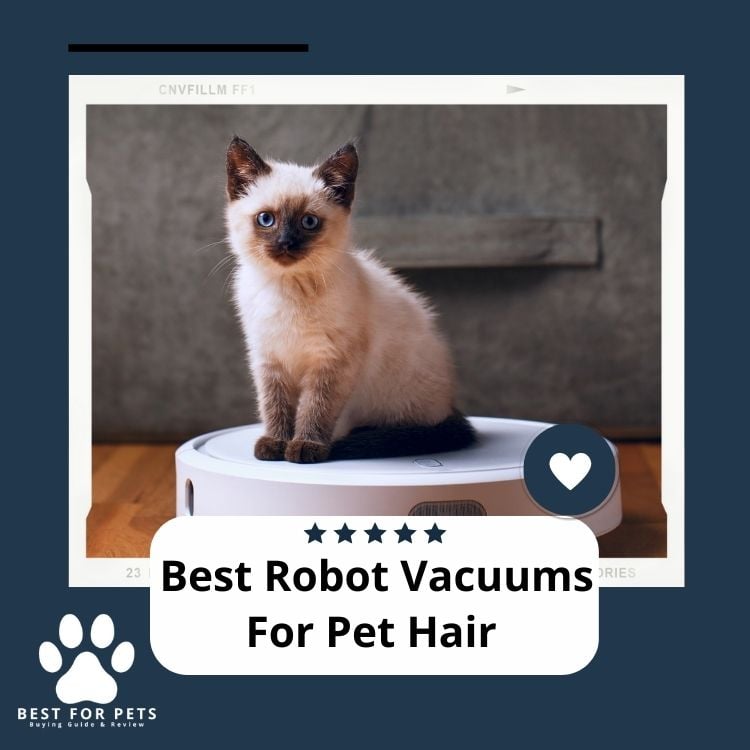 Best Robot Vacuums For Pet Hair