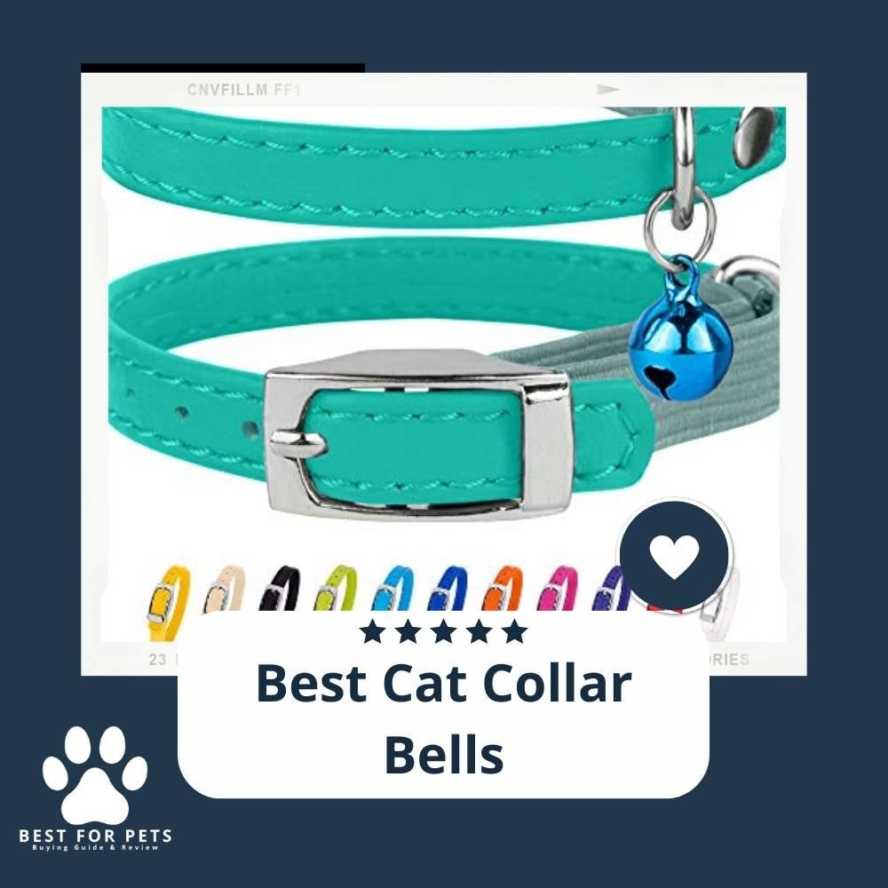 dYfEycJnl-best-cat-collar-bells